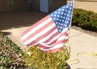 2014-03-23 VA Garden